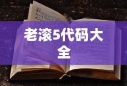 老滚5代码大全
