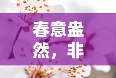春意盎然，桃花盛开之景