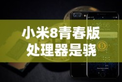 小米8青春版处理器是骁龙多少