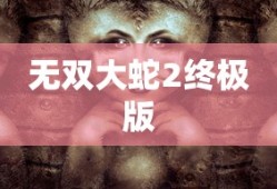 无双大蛇2终极版