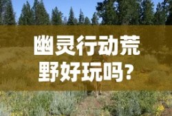 幽灵行动荒野好玩吗?