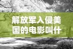 解放军入侵美国的电影叫什么