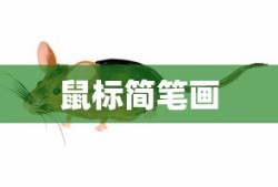 鼠标简笔画图片，轻松掌握绘画技巧