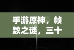 手游原神，帧数之谜，三十帧是否唯一选择？