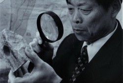 鲨鱼吃人游戏叫什么