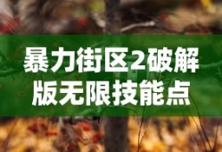暴力街区2破解版无限技能点