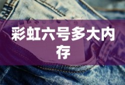 彩虹六号多大内存