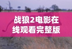 战狼2电影在线观看完整版免费