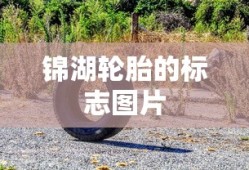 锦湖轮胎的标志图片