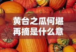 黄台之瓜何堪再摘是什么意思
