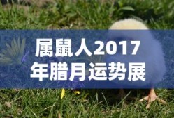 代号夏娃龙族