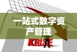 ImToken官网地址与联系电话，一站式数字资产管理的便捷通道