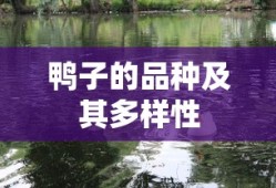 鸭子的品种及其多样性