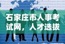 石家庄市人事考试网，人才选拔与培养的关键平台