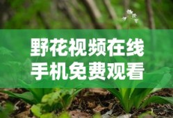 野花视频在线手机免费观看 - NAINAIAV