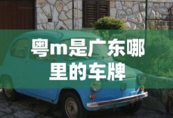 粤m是广东哪里的车牌