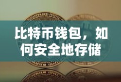 如何安全地存储数字资产，比特币钱包的秘诀