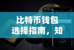 比特币钱包选择指南，知乎用户推荐与解析