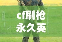 cf刷枪永久英雄武器软件端游