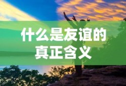 什么是友谊的真正含义
