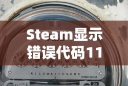 Steam显示错误代码118，原因及解决方案
