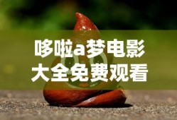 哆啦a梦电影大全免费观看