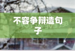 不容争辩造句子