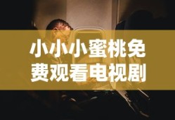 小小小蜜桃免费观看电视剧高清