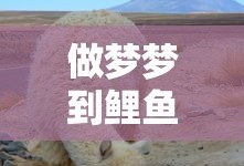 做梦梦到鲤鱼跃龙门是什么意思