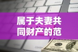 属于夫妻共同财产的范围