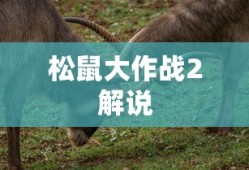 松鼠大作战2解说