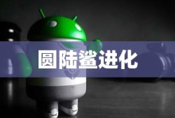 圆陆鲨进化