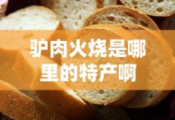 驴肉火烧是哪里的特产啊