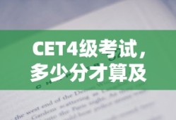 4399火线精英木子解说