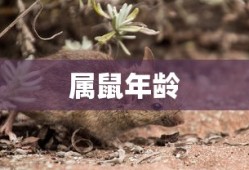 手游逆水寒哪个职业厉害