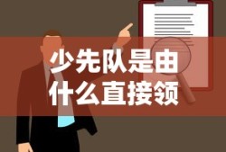 少先队是由中国共产主义青年团直接领导的。