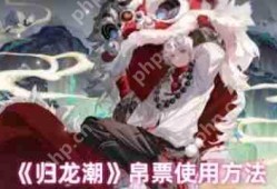 归龙潮帛票怎么用  归龙潮帛票使用方法