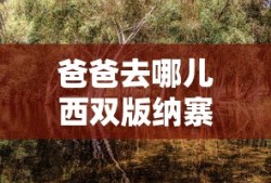 爸爸去哪儿西双版纳寨子什么时候出的
