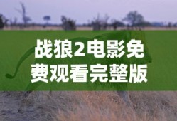 战狼2电影免费观看完整版