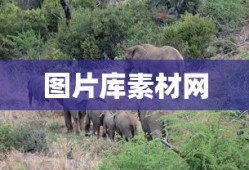 图片库素材网