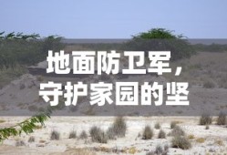 地面防卫军，守护家园的坚实力量，地面防卫军，守护家园的钢铁长城