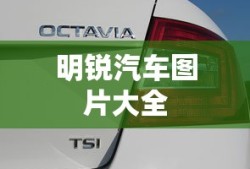 明锐汽车图片大全