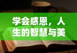学会感恩，人生的智慧与美德