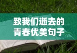致我们逝去的青春优美句子