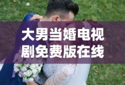 大男当婚电视剧免费版在线观看