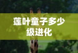 莲叶童子多少级进化