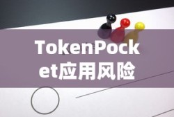 TokenPocket应用的风险与应对策略探讨