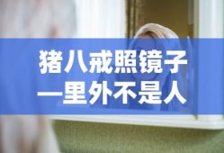 猪八戒照镜子，内外皆难堪