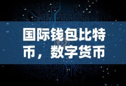 国际钱包比特币，数字货币的未来之星