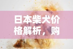 日本柴犬价格解析，购买一条柴犬需要多少人民币？